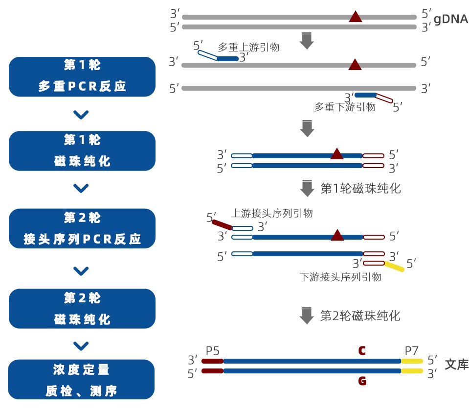 iGeneTech-20221013-7.jpg
