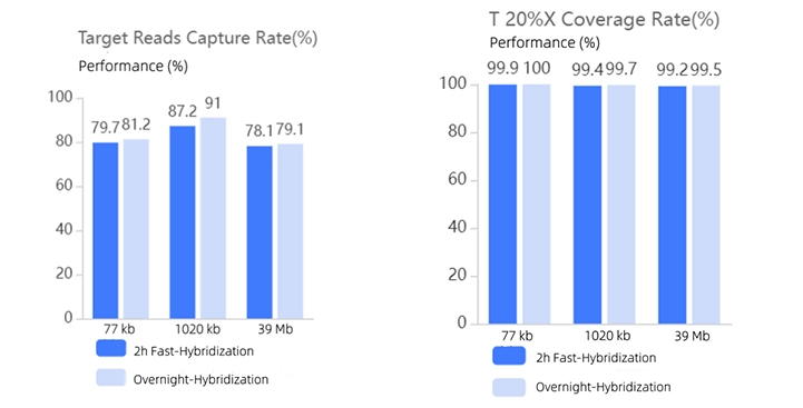 Excellent Performance in Fast Hybridization