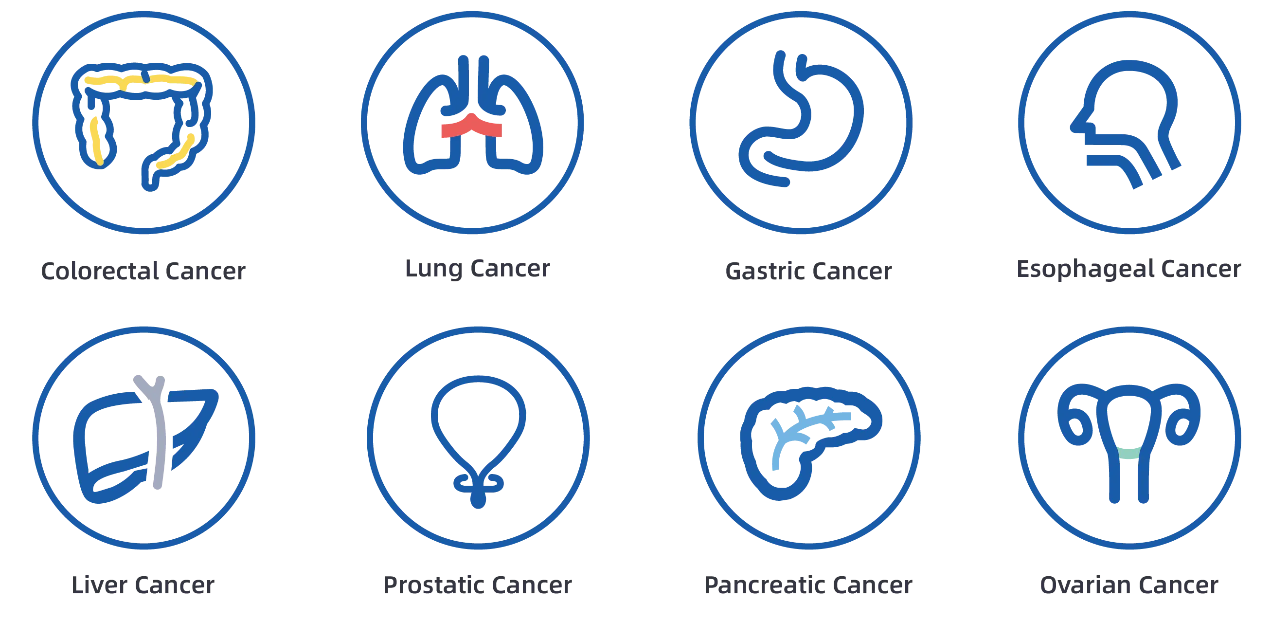 A Summary of iGeneTech Pre-defined NGS Panels for Oncology within Ten Years