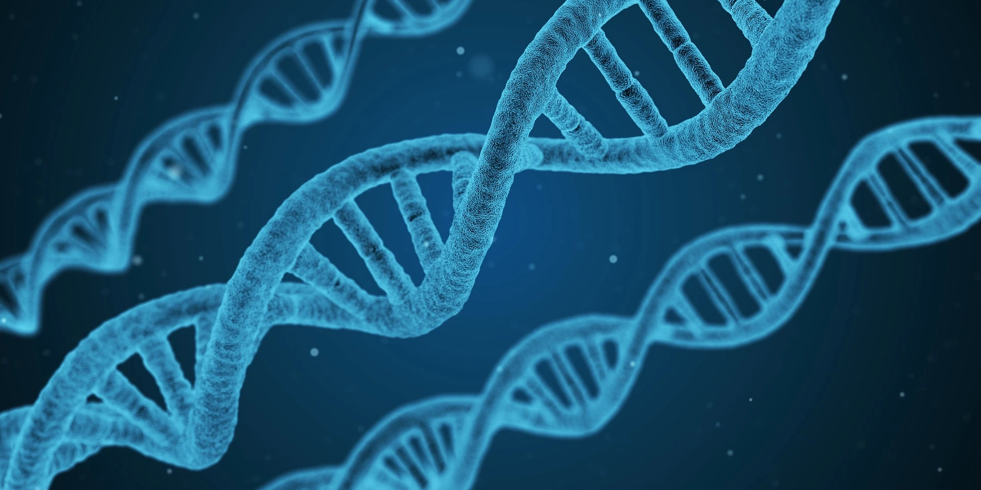iGeneTech Index product line has been expanded, now offering up to 4,608 different types.