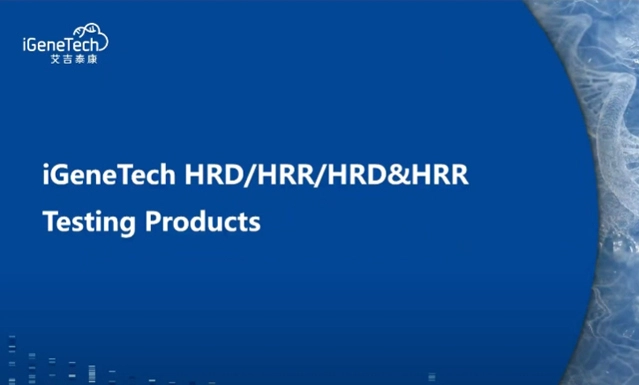 iGeneTech's HRR&HRD Testing Solutions Designed for Precision Oncology Applications
