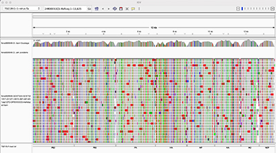 influenza-coverage-1.jpg