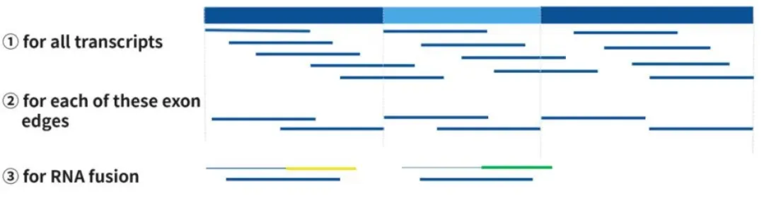 Guide for RNA Capture Panels and Detailed Explanation of Protocols