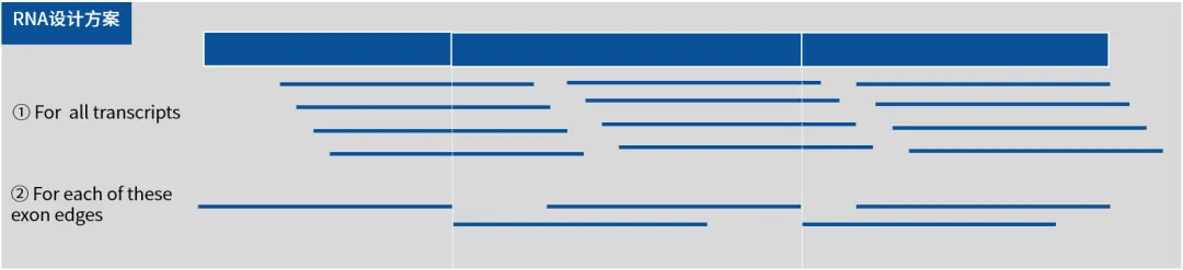 New Product Launch-RNA Exome: Comprehensive and Accurate Capture of Whole Transcriptome Information
