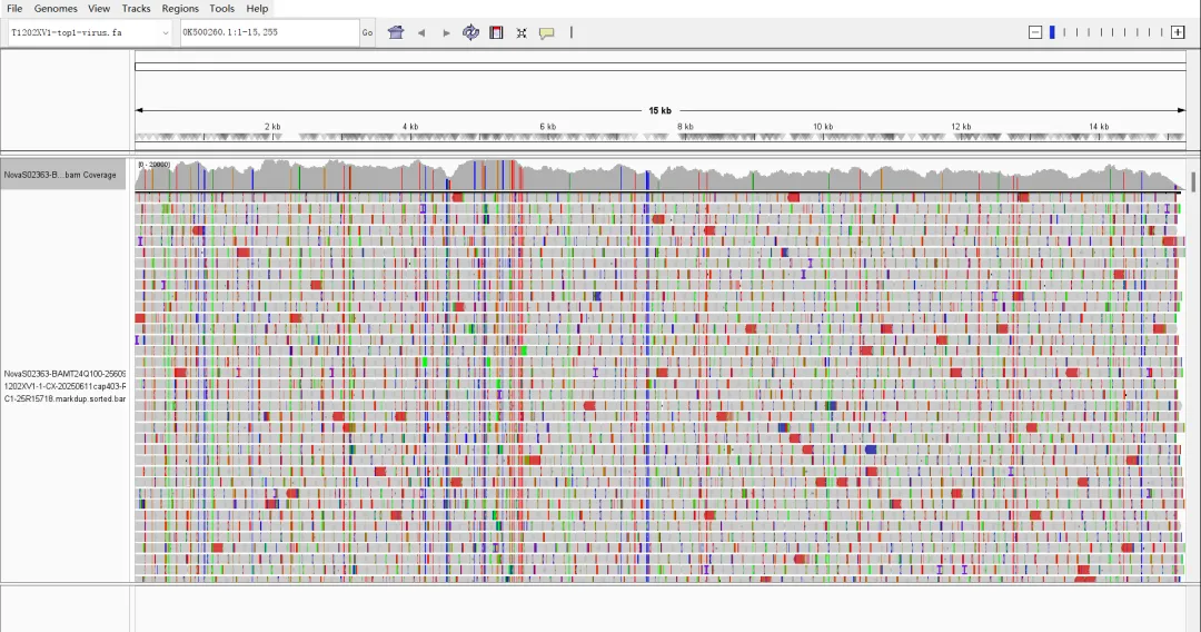 Halt the epidemic trend of Respiratory Syncytial Virus (RSV)