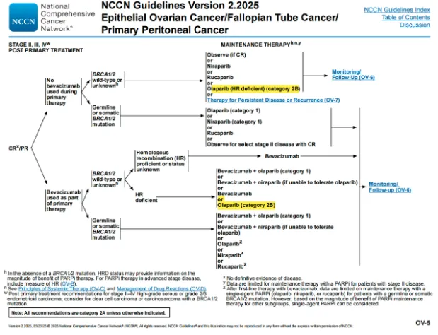 Advances in Clinical Application of PARP Inhibitors and Significance of HRD Detection