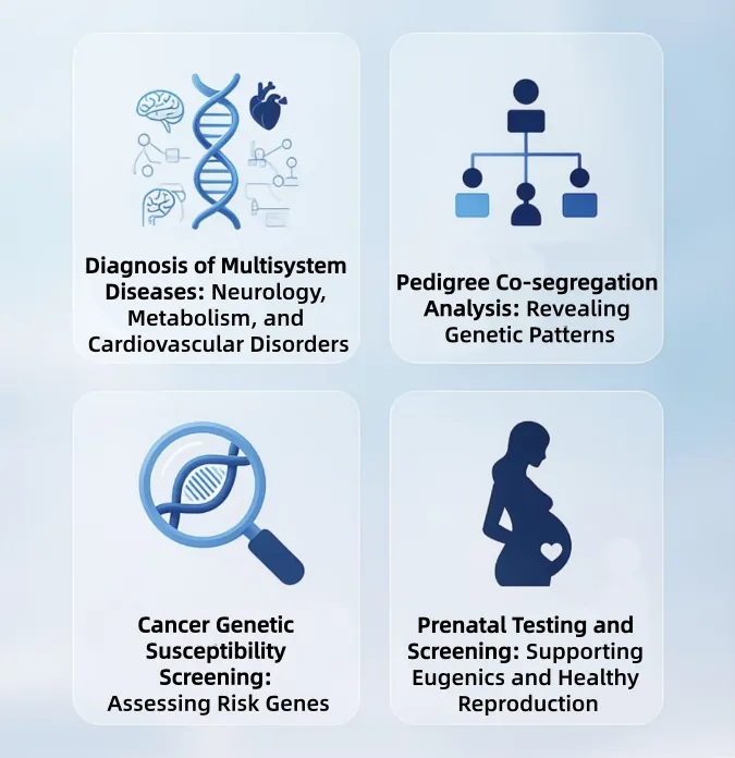 New Product Launch | More Focused, Accurate, and Stable: Medical Whole-Exome Capture Product