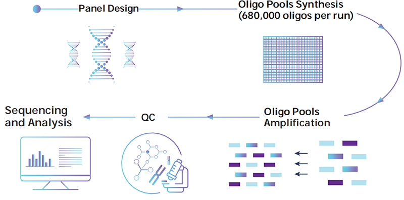 oligo-pools-1.png