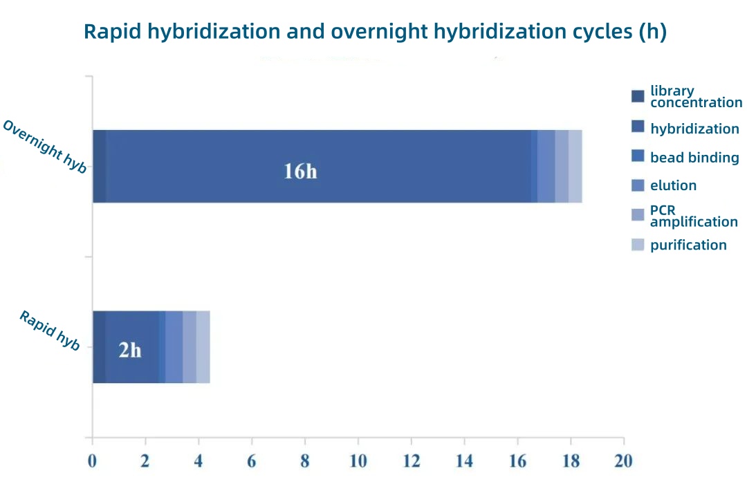 Figure 2. Schematic diagram of time comparison between rapid hybridization and overnight hybridization. Figure 2. Schematic diagram of time comparison between rapid hybridization and overnight hybridization.