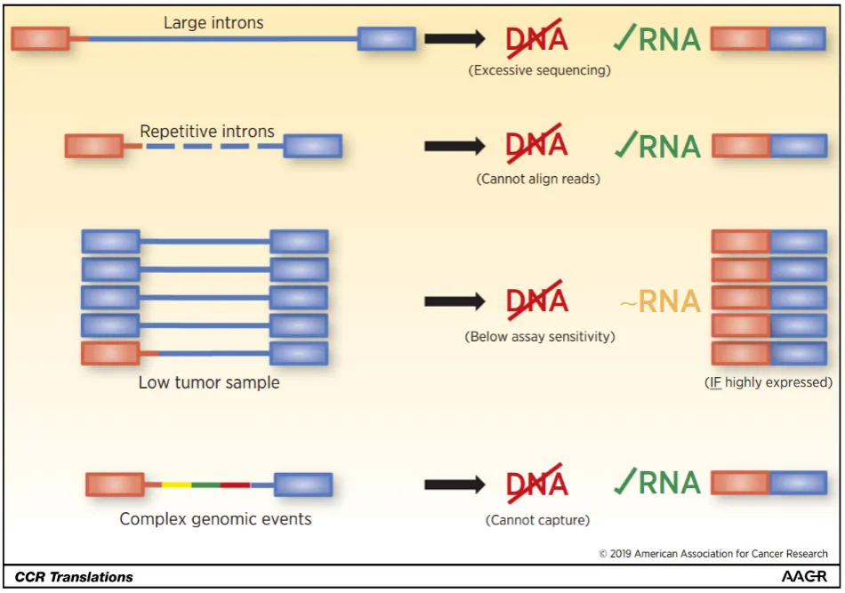 The Importance of Preventing Missed Detection of Fusion Genes