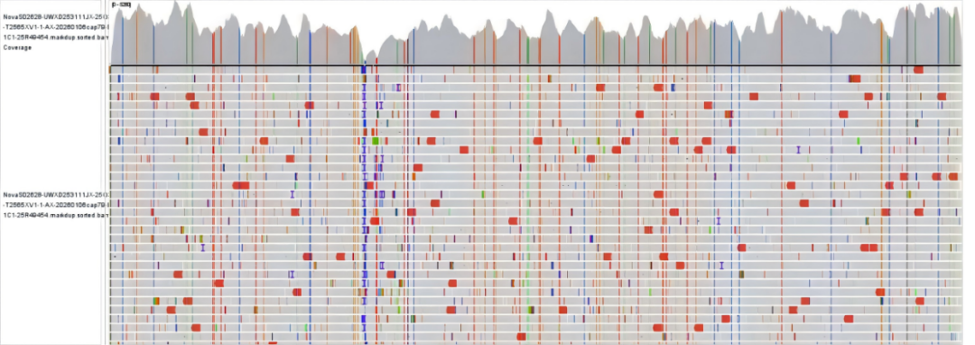 麻疹2.png 麻疹2.png