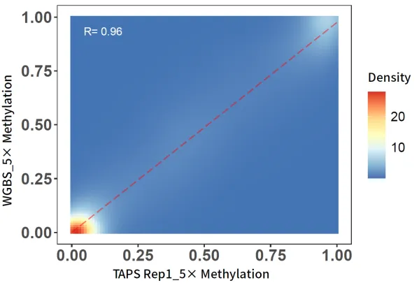 methylation-level-consistency-analysis.webp