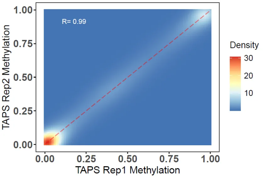 stability-analysis-across-technical-replicates.webp