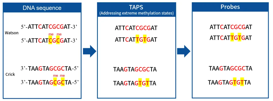 taps-dual-state-probe-design-for-methylation-detection.webp