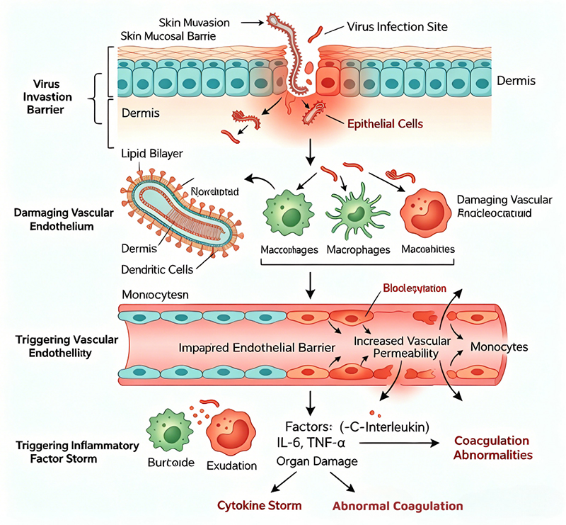 bandibujiao-ebola-crisis-igt-whole-genome-capture-technology-empowers-epidemic-response-4.jpg