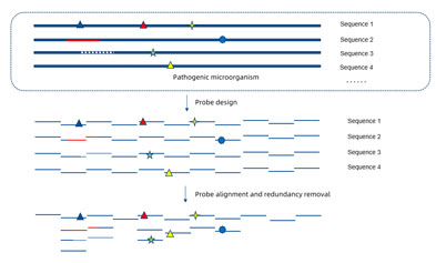 A Decade of Exploration | iGeneTech Achieves Precise Tracing of Origins and Early Detection of Influenza Viruses