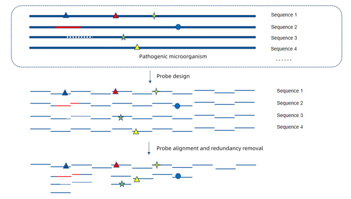 56 million probes empower whole-genome capture of 116 ABX pathogens