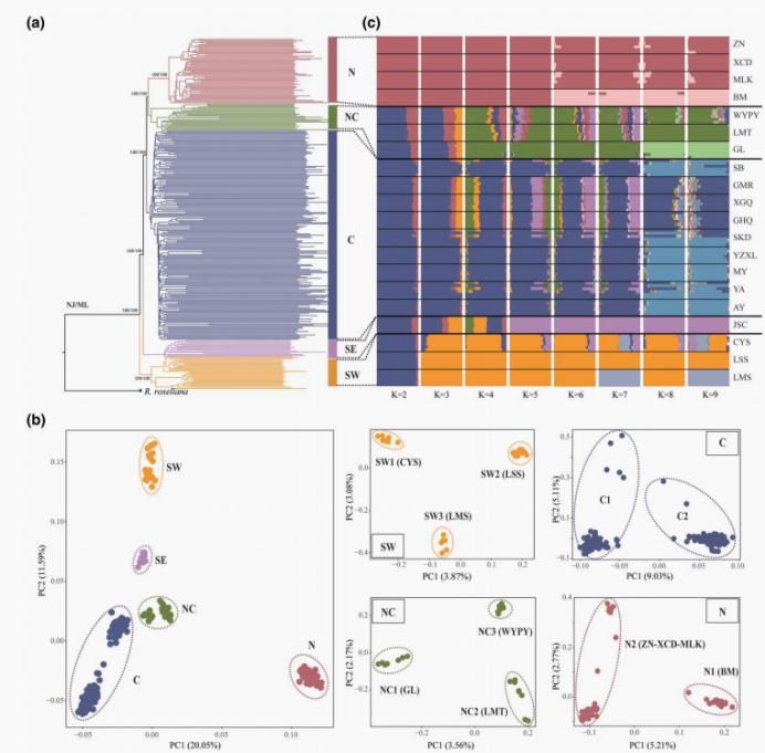 figure-genome-wide-population-genetic-structure-of-yunnan-snub-nosed-monkeys.jpg figure-genome-wide-population-genetic-structure-of-yunnan-snub-nosed-monkeys.jpg