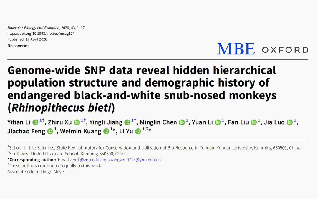 Fecal Whole-Genome Capture | Facilitating Research on Genetic Structure and Targeted Conservation of Yunnan Snub-Nosed Monkeys
