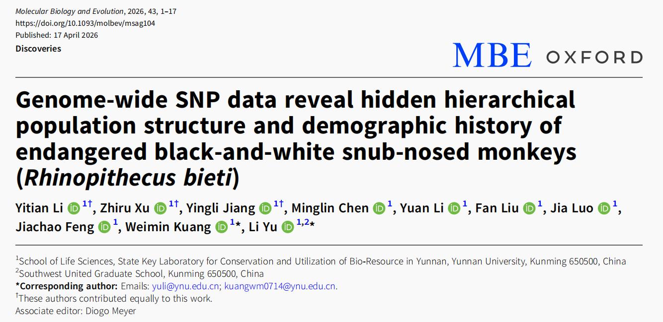 genetic-structure-and-targeted-conservation-of-yunnan-snub-nosed-monkeys.jpg genetic-structure-and-targeted-conservation-of-yunnan-snub-nosed-monkeys.jpg