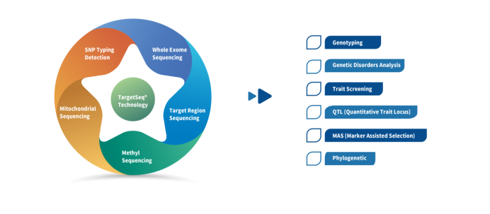 iGeneTech TargetSeq Enrichment Kit provides support for Intrahepatic cholangiocarcinoma (ICC) study