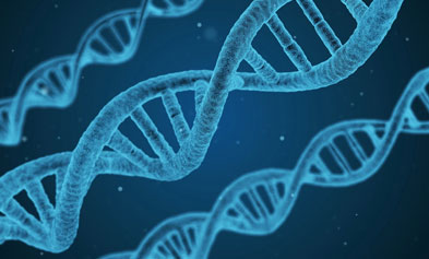 iGeneTech Index product line has been expanded, now offering up to 4,608 different types.
