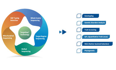 iGeneTech TargetSeq Enrichment Kit provides support for Intrahepatic cholangiocarcinoma (ICC) study