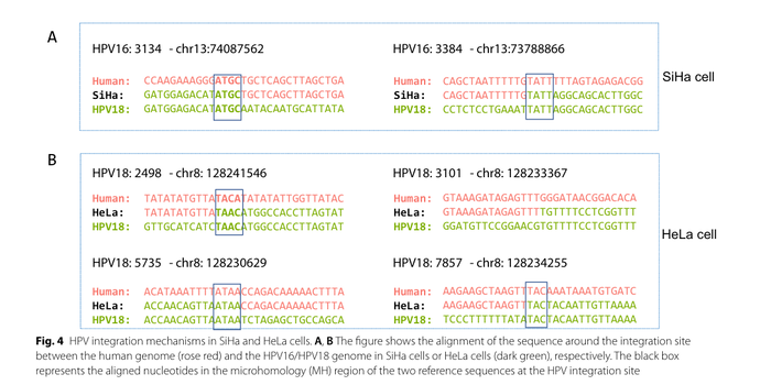 56 million probes empower whole-genome capture of 116 ABX pathogens