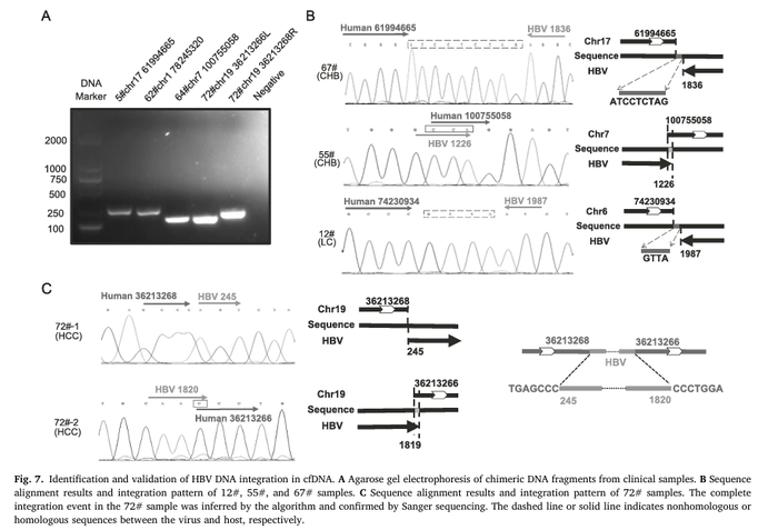 56 million probes empower whole-genome capture of 116 ABX pathogens