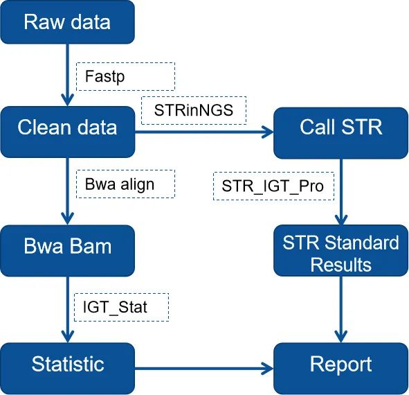Product launch | MultipSeq® 226 STR Research Panel forensic STR next-generation sequencing product Product launch | MultipSeq® 226 STR Research Panel forensic STR next-generation sequencing product