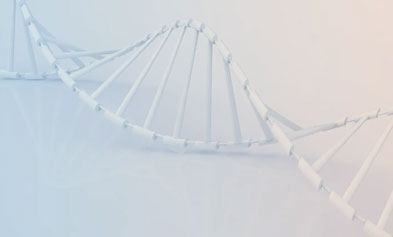 Unlocking the Secrets of Human Mitochondria with iGeneTech's Mitochondrial Gene Panel