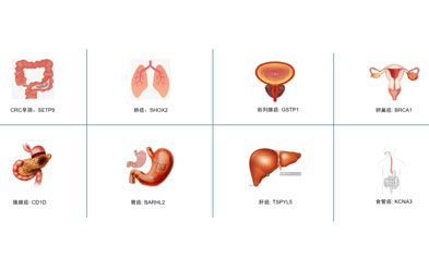 BisCap® Multi-Cancer Early Detection Panel: A Methylation-Based Multi-Cancer Early Detection and Screening Product