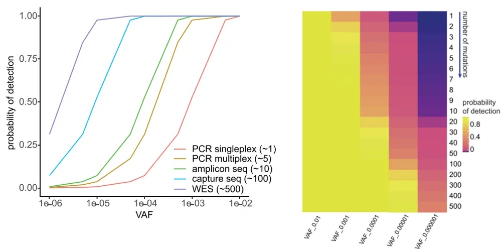 How is the ctDNA MRD detection, which requires less blood sampling and provides accurate results, carried out? How is the ctDNA MRD detection, which requires less blood sampling and provides accurate results, carried out?