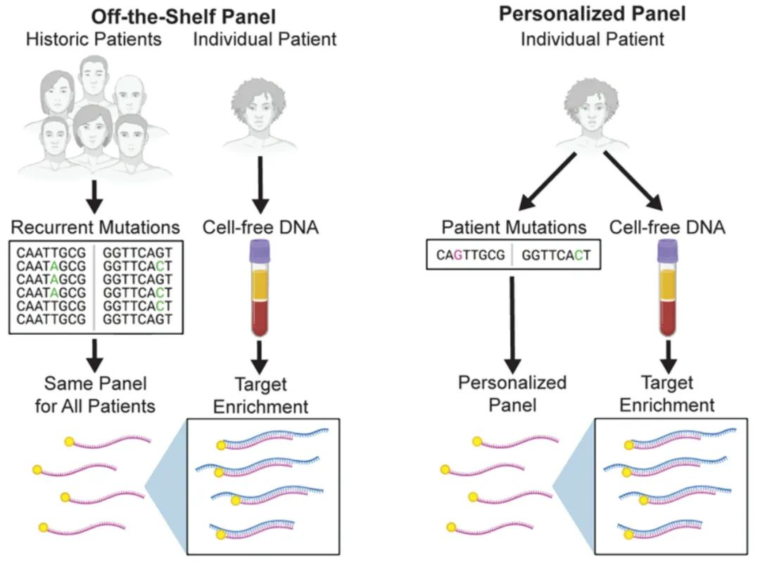 Minimal Residual Disease (MRD) in Solid Tumors: Detection Strategy of Circulating Tumor DNA (ctDNA) MRD Minimal Residual Disease (MRD) in Solid Tumors: Detection Strategy of Circulating Tumor DNA (ctDNA) MRD