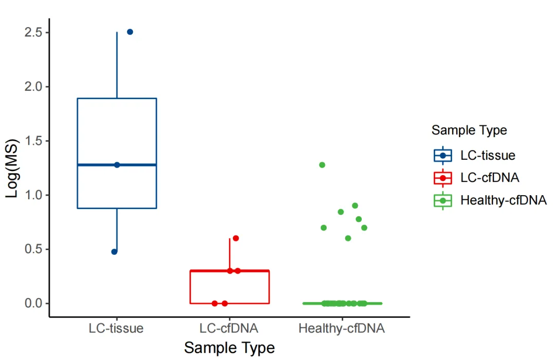 BisCap® Multi-Cancer Early Detection Panel: A Methylation-Based Multi-Cancer Early Detection and Screening Product