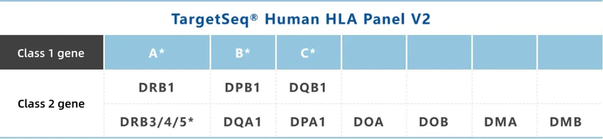 Decade of Focus | iGeneTech HLA Products Empower High-Precision Typing Decade of Focus | iGeneTech HLA Products Empower High-Precision Typing