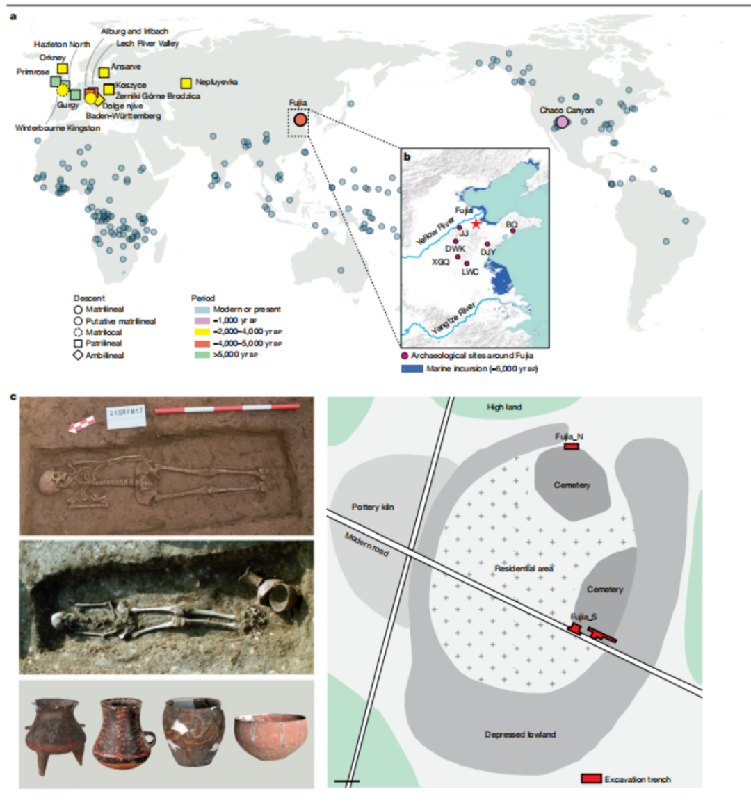 iGeneTech Supports Nature Research: Ancient DNA Reveals a Two-clanned Matrilineal Community in Neolithic China