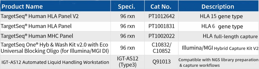 Decade of Focus | iGeneTech HLA Products Empower High-Precision Typing Decade of Focus | iGeneTech HLA Products Empower High-Precision Typing