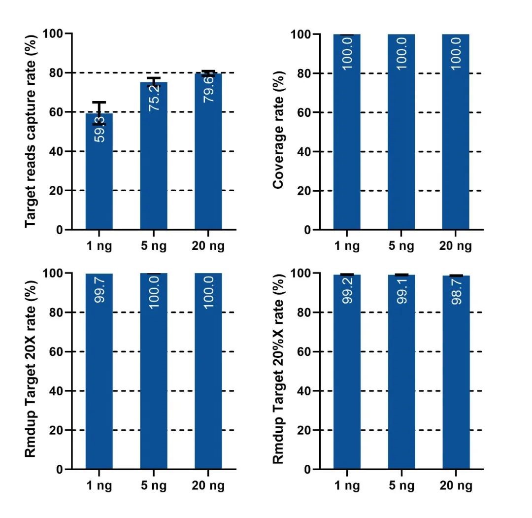 iGene Tech Single-Strand DNA Library Kit: A New Tool for Early Cancer Screening iGene Tech Single-Strand DNA Library Kit: A New Tool for Early Cancer Screening