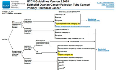 Advances in Clinical Application of PARP Inhibitors and Significance of HRD Detection
