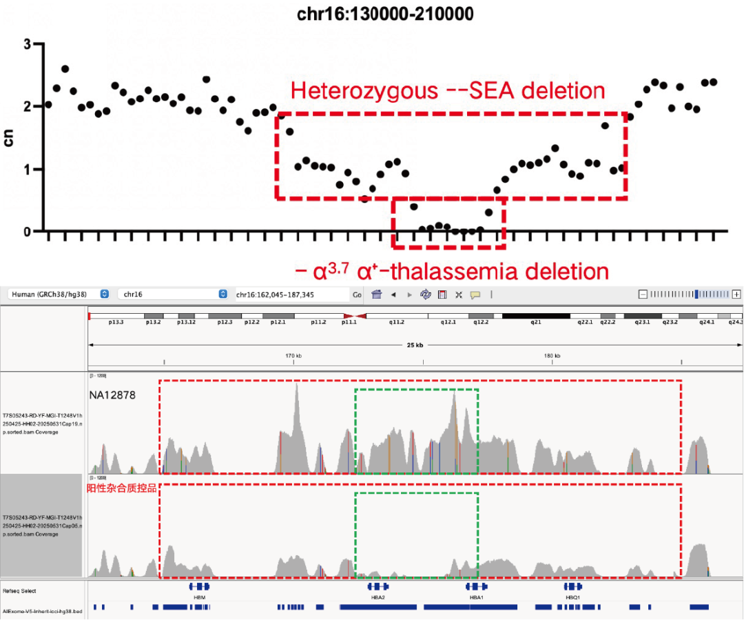 AIExome V5-Inherit Edition is now available!