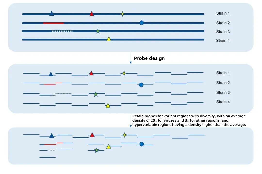 iGeneTech Precision Traceability, Early Detection of Mycoplasma pneumoniae iGeneTech Precision Traceability, Early Detection of Mycoplasma pneumoniae