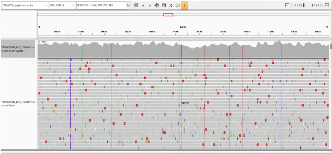 iGeneTech Precision Traceability, Early Detection of Mycoplasma pneumoniae iGeneTech Precision Traceability, Early Detection of Mycoplasma pneumoniae