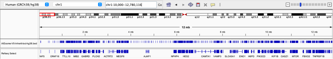 AIExome V5-Inherit Edition is now available!