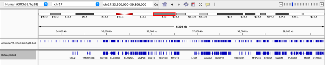 AIExome V5-Inherit Edition is now available!