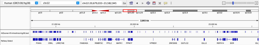 AIExome V5-Inherit Edition is now available!