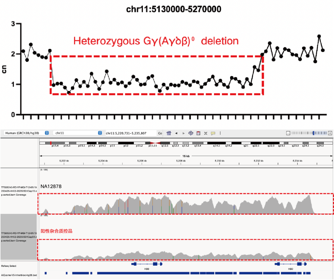 AIExome V5-Inherit Edition is now available!