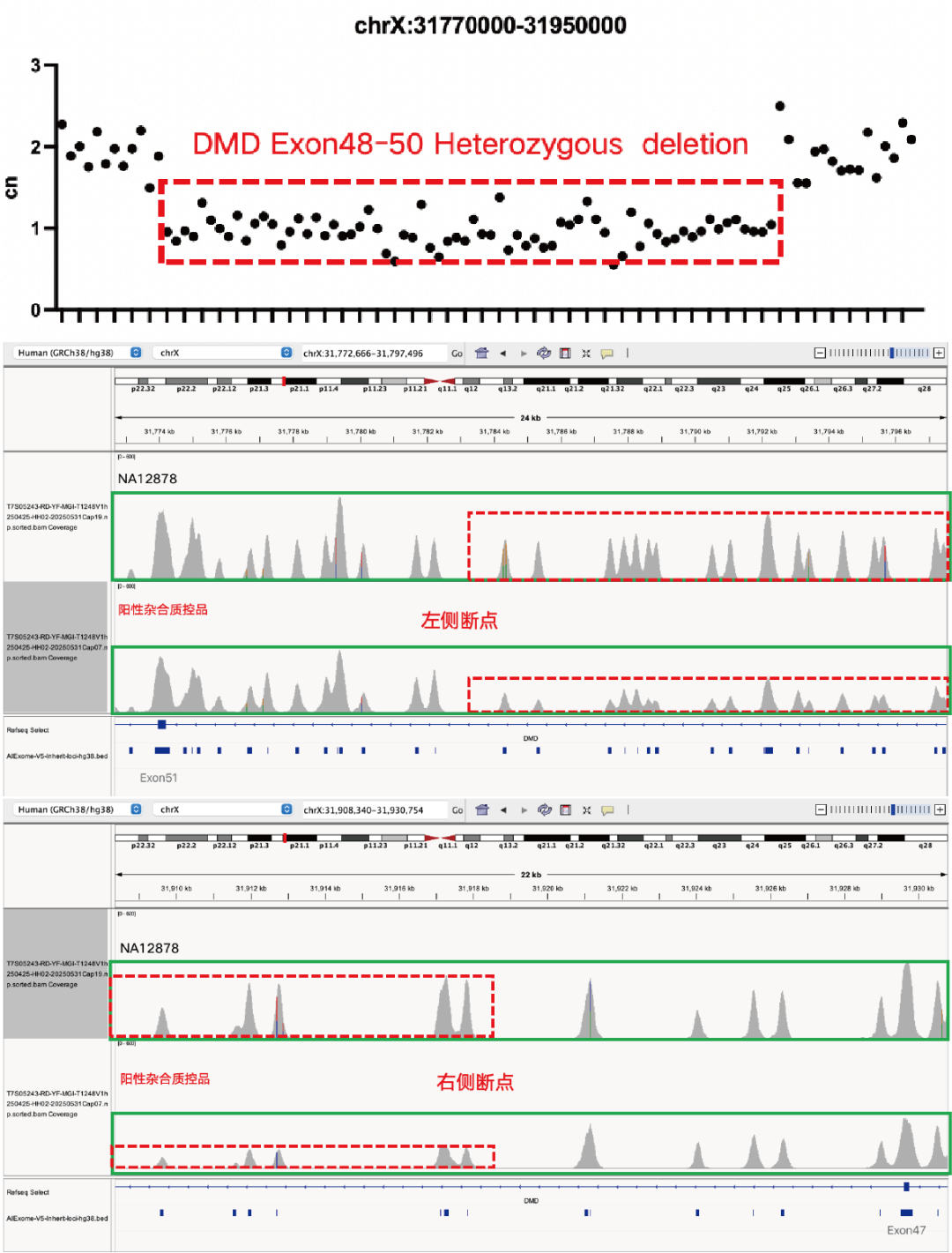 AIExome V5-Inherit Edition is now available!