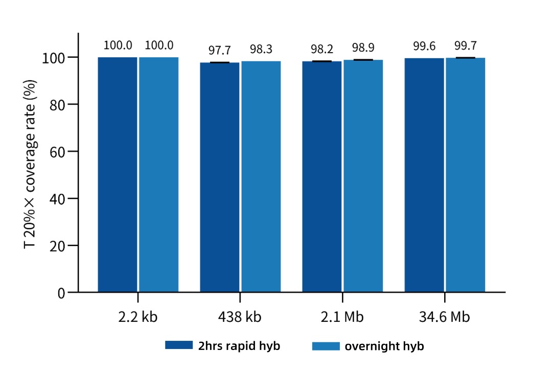 iGeneTech TargetSeq One® Hyb & Wash Kit v3.0: Ultra-simple reagent composition and workflow, with excellent performance iGeneTech TargetSeq One® Hyb & Wash Kit v3.0: Ultra-simple reagent composition and workflow, with excellent performance