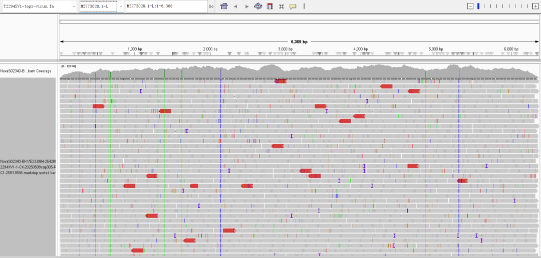 iGeneTech's multiplex virus detection solution accurately addresses multiple threats such as Yellow Fever and Zika